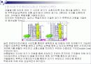[주거학]친환경 건축의 개요와 국내외 사례분석(리포트) 31페이지