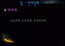 의사소통 장애아 교육에 대한 ppt 자료 17페이지