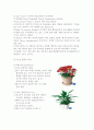 플로리스트(Florist)의 이해 9페이지
