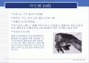 중금속오염에 관한 ppt 7페이지