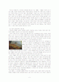 환경호르몬에 대한 문제인식 환경호르몬에 의한 환경오염사례 3페이지