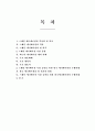 스페인 애니메이션 시장 동향과 진출을 위한 한국 애니메이션의 선결과제 2페이지