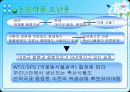 동물약품오남용과 인체의 항생물질 내성문제와의 관련성(특A급- 수의학과 학생들이 직접 제작) 6페이지