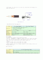 정보통신의발달 10페이지