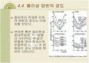 음용암반(사면)공학 16페이지