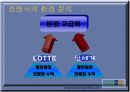 현대백화점 내부 외부환경분석 및 고급화 차별화 전략 14페이지