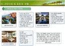 호텔 사업계획서 파워포인트 11페이지