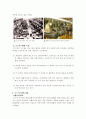 테일러시스템& 포드시스템 10페이지