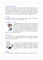 사이클(자전거)에 대하여..(역사, 종목, 상해의 종류) 13페이지