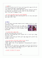 서태지, 그가 남진 대중문화의 이해 6페이지