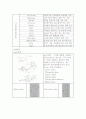슈즈(shoes)의 모든것 12페이지