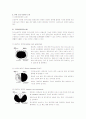 척추(척수)손상환자의 재활 간호 5페이지