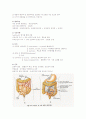 소화기계 구조와 기능 및 임상검사 6페이지