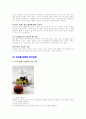 포도의 특징과 효능 및 영양성분 10페이지