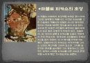 아메데오 모딜리아니 ppt A+ 자료입니다 내용 첨부사진 빵빵! 11페이지