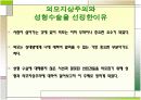 외모지상주의와 성형열풍 3페이지
