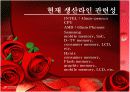 EUV - Photolithography의 종류 및 공정 단계와 그와 관련된 기술들의 특성에 대한 조사  4페이지