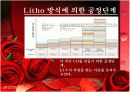 EUV - Photolithography의 종류 및 공정 단계와 그와 관련된 기술들의 특성에 대한 조사  13페이지