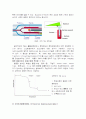 열분석(Thermal Analysis) 4페이지
