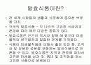 발효식품에 대해 2페이지