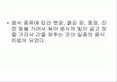발효식품에 대해 6페이지