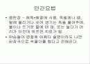 발효식품에 대해 17페이지