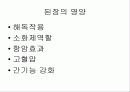 발효식품에 대해 20페이지