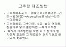 발효식품에 대해 24페이지
