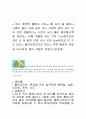 플라나리아 관찰 보고서 3페이지