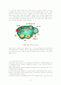 정자와 난자의 형성 과정 18페이지