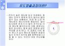 블루 레이져(Blue Laser) 그리고 Blu-ray disc 기술의 특징 및 구성 원리에 대하여 6페이지