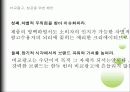 비교광고 메인 라운드 시작되다 8페이지