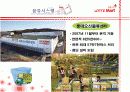 롯데마트 기업분석 및 경영전략(MPB, SWOT분석, 4P전략, 최근 유통산업의 트렌드 및 대형마트 급성장 등) 20페이지