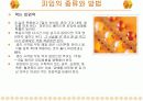 피임에 관한 보건교육 ppt 11페이지