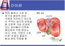 간암에 대한 보건교육 ppt 2페이지