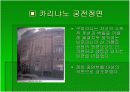 [건축]구아리노 구아리니(바로크 건축) 11페이지