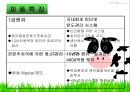 서울우유의 소비자 행동분석 9페이지