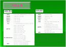 닌텐도 DS의 마케팅 전략 및 분석 5페이지