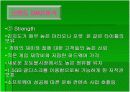 닌텐도 DS의 마케팅 전략 및 분석 13페이지