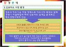 티저광고 전략 14페이지