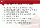 중국의 경제위기에 관한 보고서 8페이지