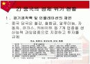중국의 경제위기에 관한 보고서 10페이지