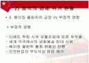 중국의 경제위기에 관한 보고서 19페이지