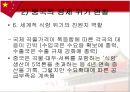 중국의 경제위기에 관한 보고서 24페이지