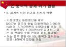 중국의 경제위기에 관한 보고서 26페이지