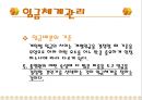 임금관리의 사례와 분석자료 13페이지
