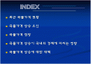 국제곡물가격 상승에 관한 자료 2페이지