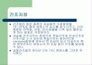 청과물 저장법[파워포인트] 13페이지
