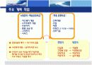 한국 미국 IBM의 조직개발 구조조정 10페이지