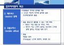 한국 미국 IBM의 조직개발 구조조정 22페이지